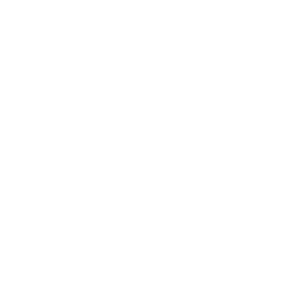 RYB Academy